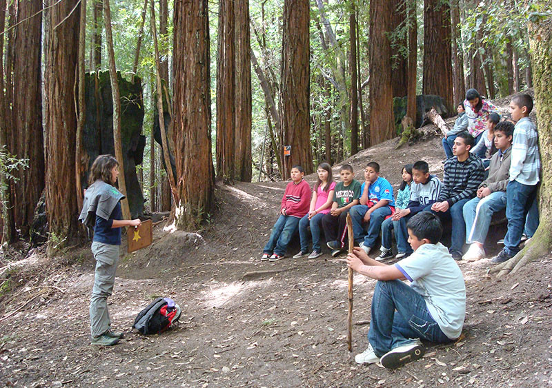 group of kids listening to lecture in the woods